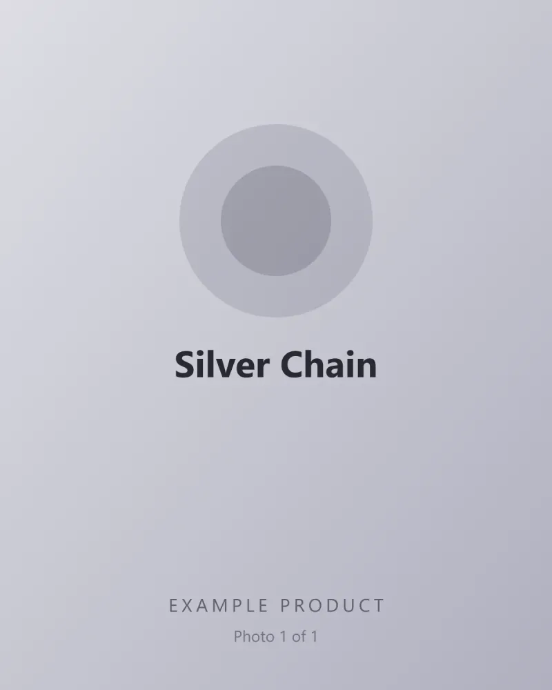 Example Silver Chain