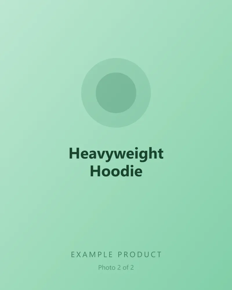 Example Heavyweight Hoodie, photo 2 of 2